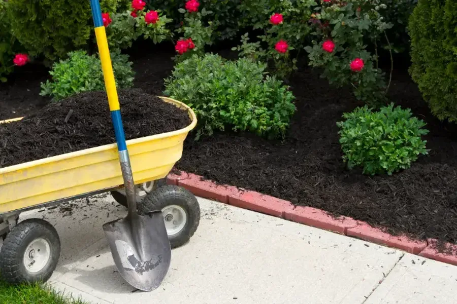 Mulching and Trimming