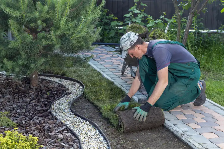Sod Installation Service
