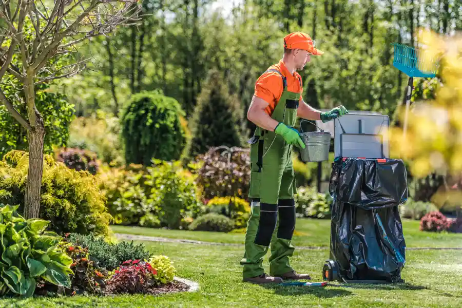 Yard Cleanup Service